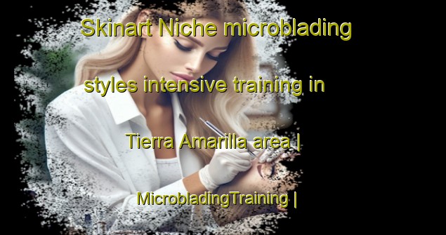 Skinart Niche microblading styles intensive training in Tierra Amarilla area | MicrobladingTraining | MicrobladingClasses | SkinartTraining-Venezuela